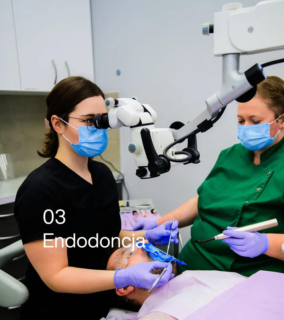 endodoncja salvus